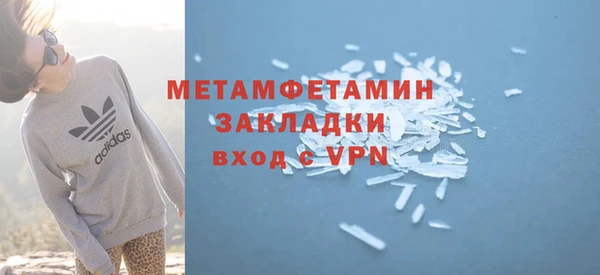 сатива Ельня