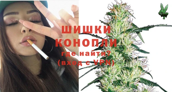 сатива Ельня