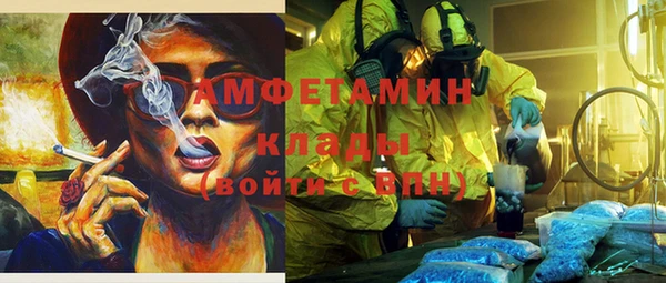 мет Дмитров