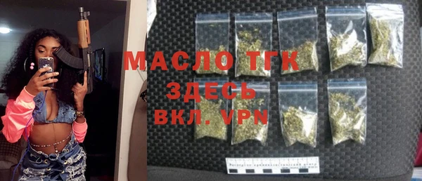 мет Дмитров