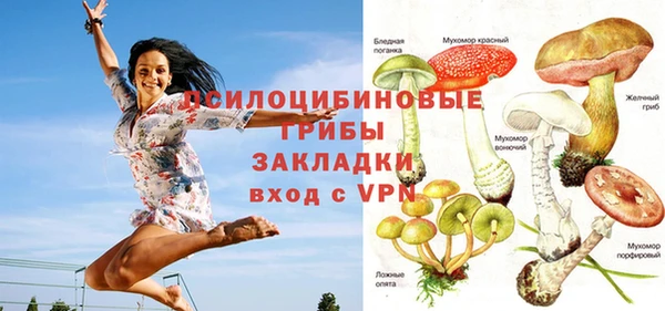 сатива Ельня
