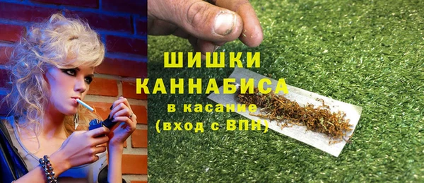 мет Дмитров